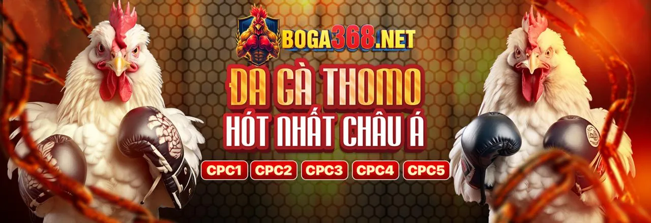 Cá cược bóng đá x88bet